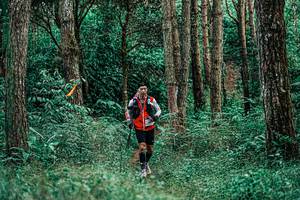 BIB: 
                            <button type="button" onclick="openModal(25238088)" class="btn btn-primary btn-sm float-right btn-popup" data-toggle="modal" data-target=".modal-high-quality">
                        <i class="fas fa-shopping-cart"></i> Add to Cart
                    </button>
                                            <button type="button" onclick="isThisMe(25238088, true)" class="btn btn-success btn-sm float-right btn-popup btn-isme hidden" data-toggle="tooltip" data-placement="bottom" title="นี่คือรูปของคุณใช่ไหม คลิกที่นี่เพื่อเอาเข้าอัลบั้ม">
                        <i class="fas fa-plus"></i> Add to album
                    </button>
                    <button type="button" onclick="isThisMe(25238088, false)" class="btn btn-warning btn-sm float-right btn-popup btn-isnotme hidden">
                        <i class="fas fa-ban"></i> Remove from album
                    </button>